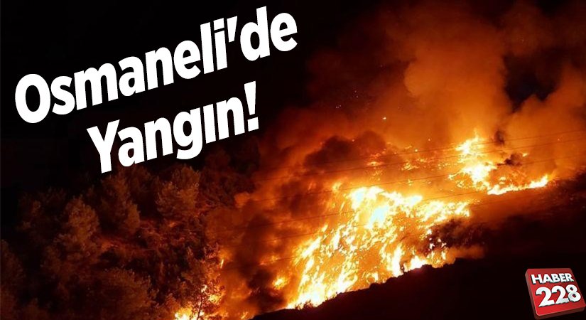 Osmaneli’de yangın!