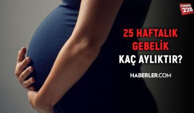 25 haftalık gebelik kaç aylık oluyor? Hamilelikte doğru bilinen yanlışlar!